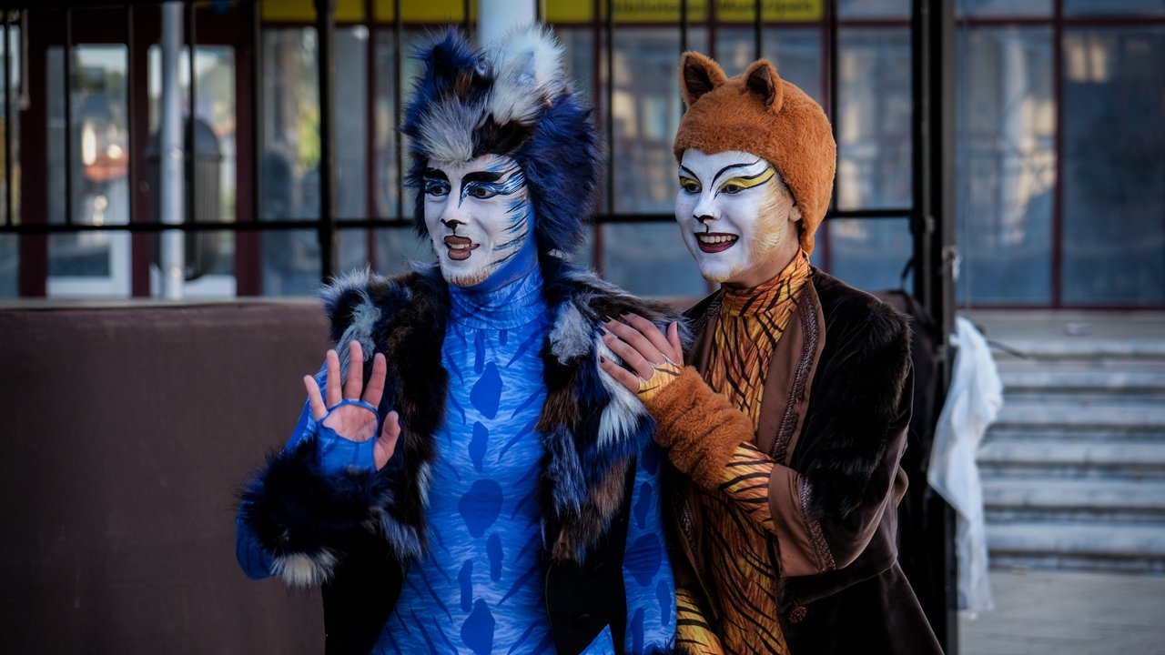 Terminou a programação especial do ANIMARUA