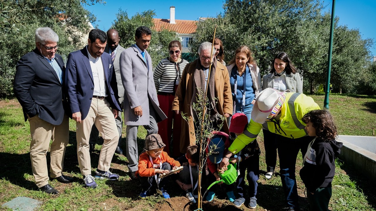 Comemoração do Dia Internacional das Florestas