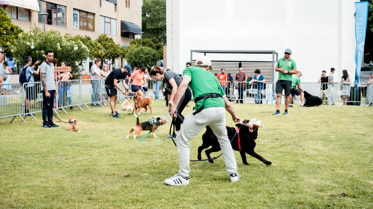 Festa Animal encheu o Centro Cívico de Carnaxide