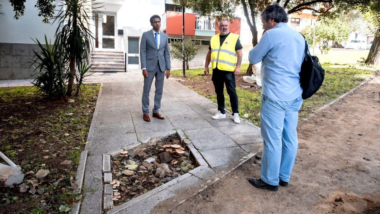 Colocação de piso antiderrapante na Rua Almeida Garrett