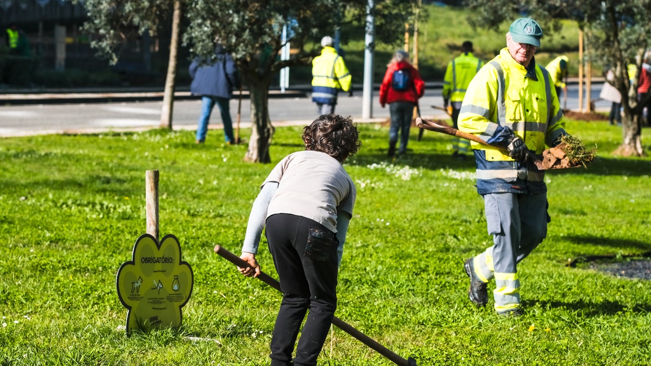 Ação de plantação de árvores em Carnaxide