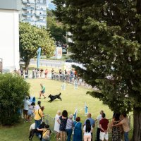 Festa Animal de Carnaxide