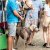 Festa Animal de Carnaxide