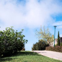 Visita ao Espaço Verde junto ao Miradouro do Ramro
